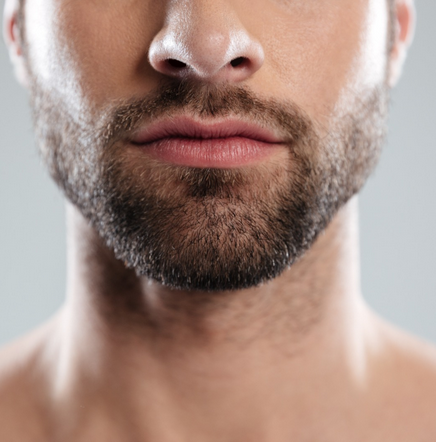 Barba